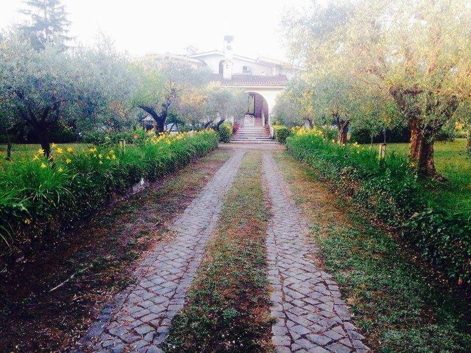 Il Pettirosso B&B Гроттаферрата Экстерьер фото