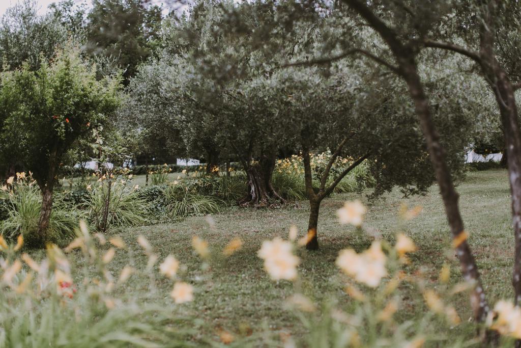 Il Pettirosso B&B Гроттаферрата Экстерьер фото