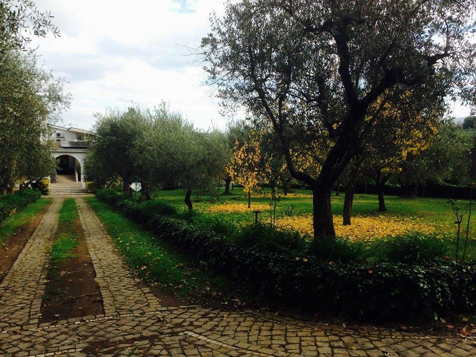 Il Pettirosso B&B Гроттаферрата Экстерьер фото